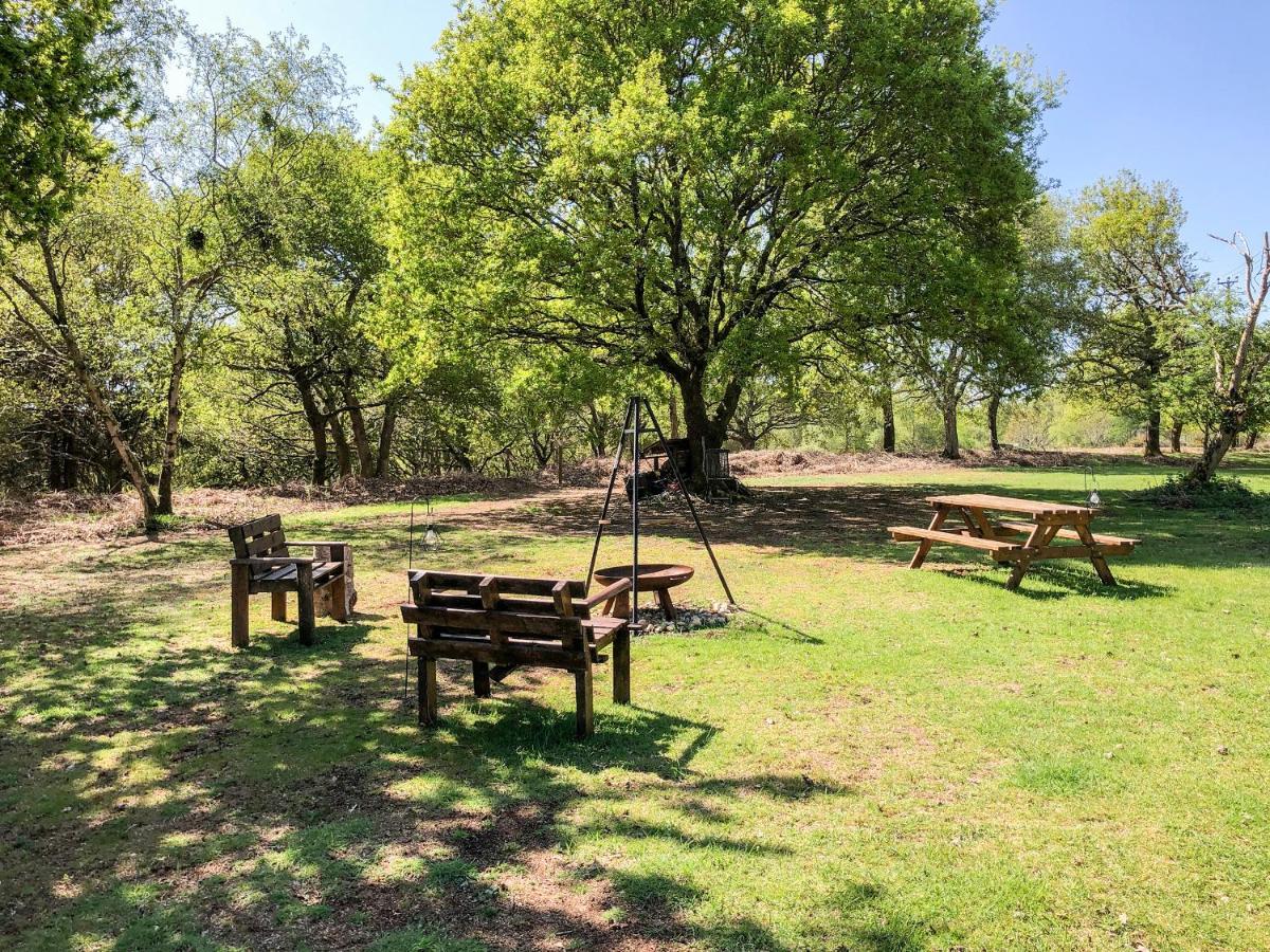 ווימבורן מינסטר Pheasant Lodge מראה חיצוני תמונה