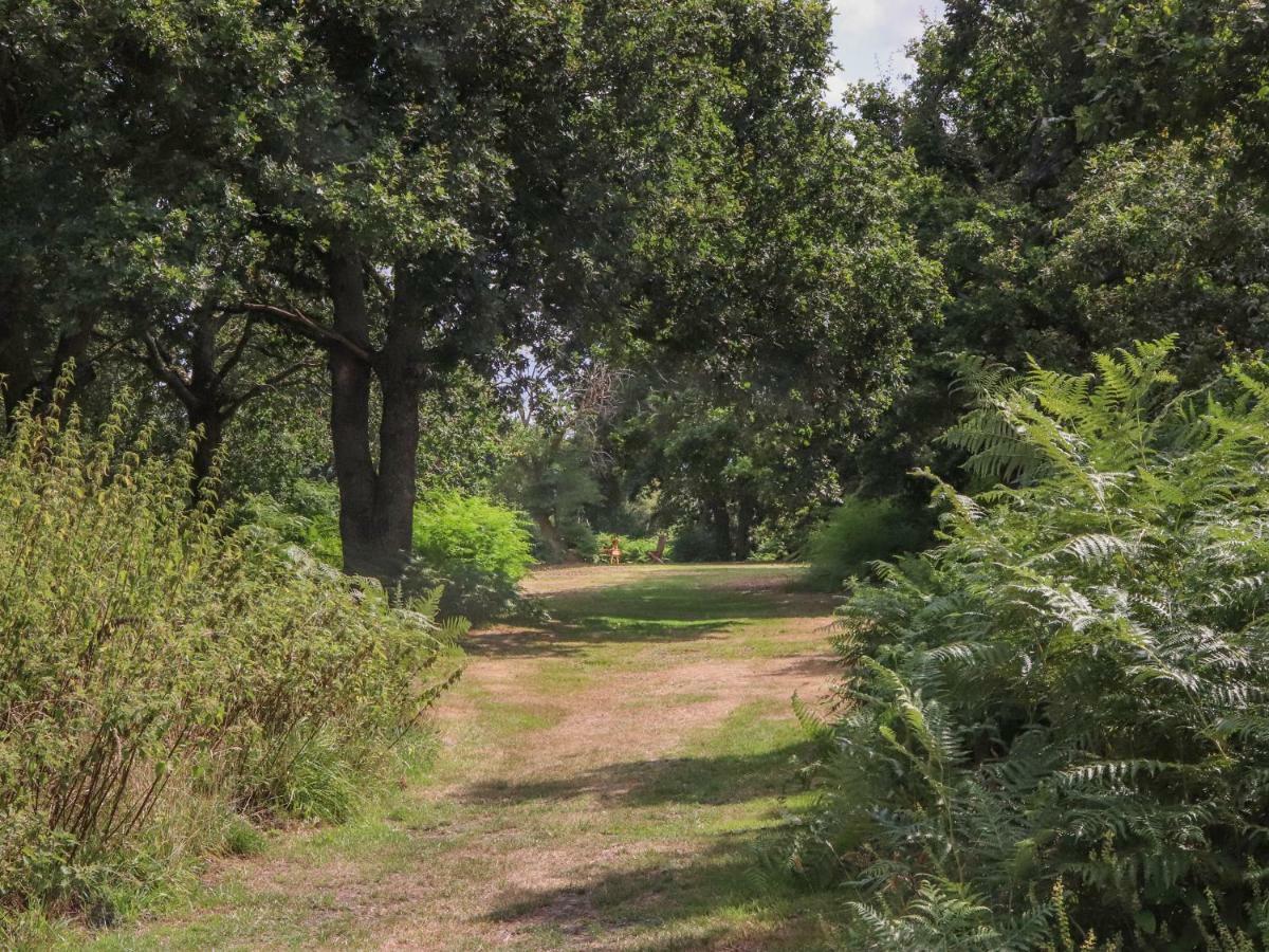 ווימבורן מינסטר Pheasant Lodge מראה חיצוני תמונה